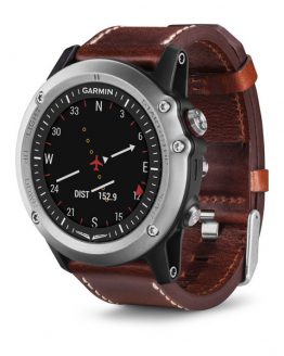 Garmin D2